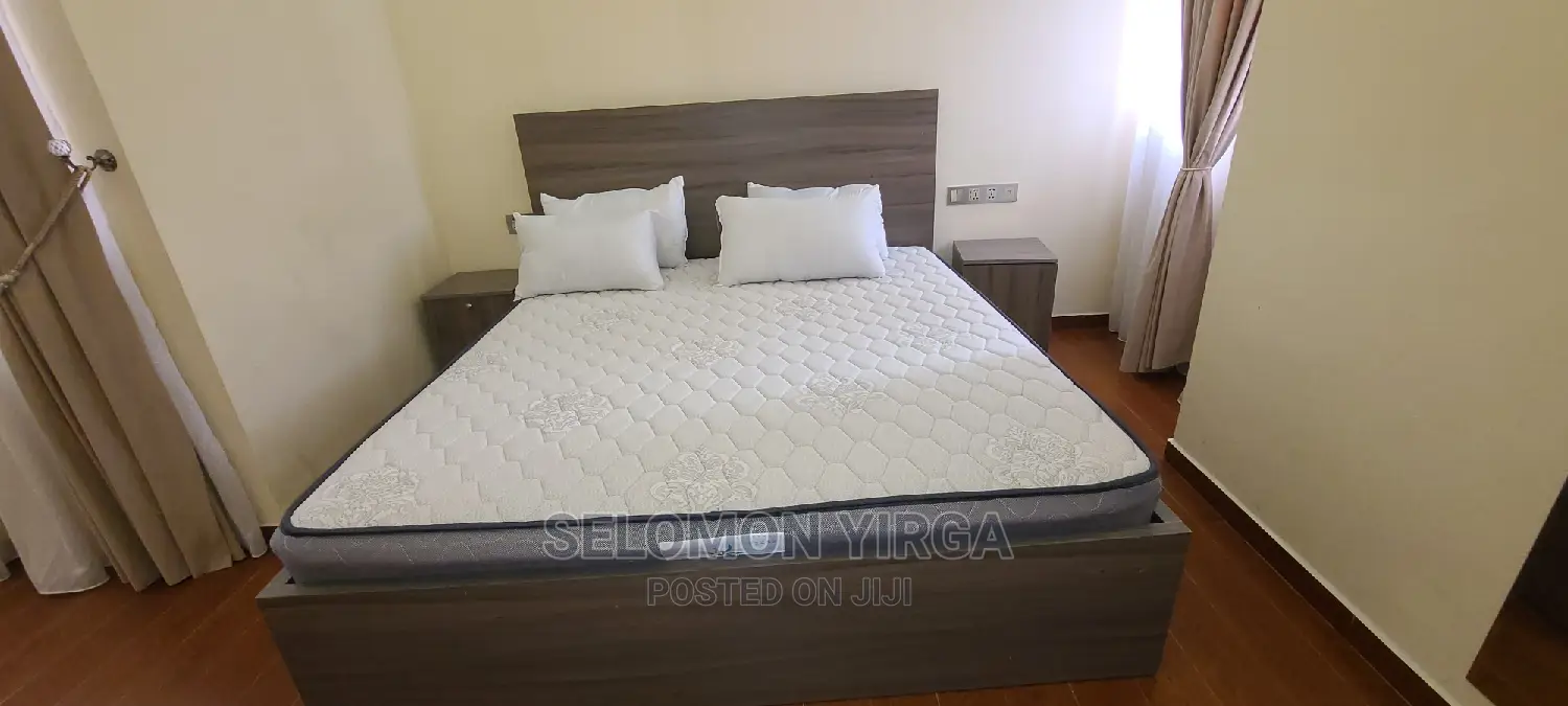 Furnished 3bdrm Apartment in አድስ አበባ, Bole for rent