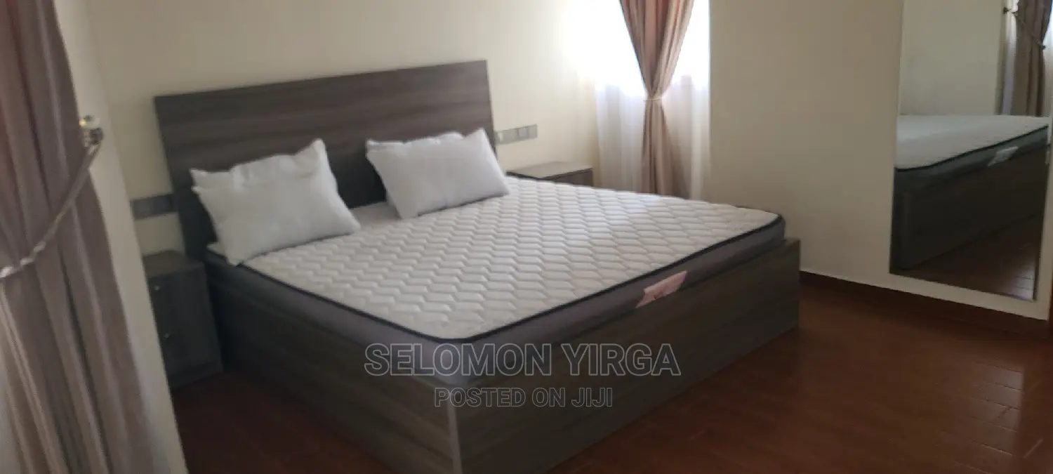 Furnished 3bdrm Apartment in አድስ አበባ, Bole for rent