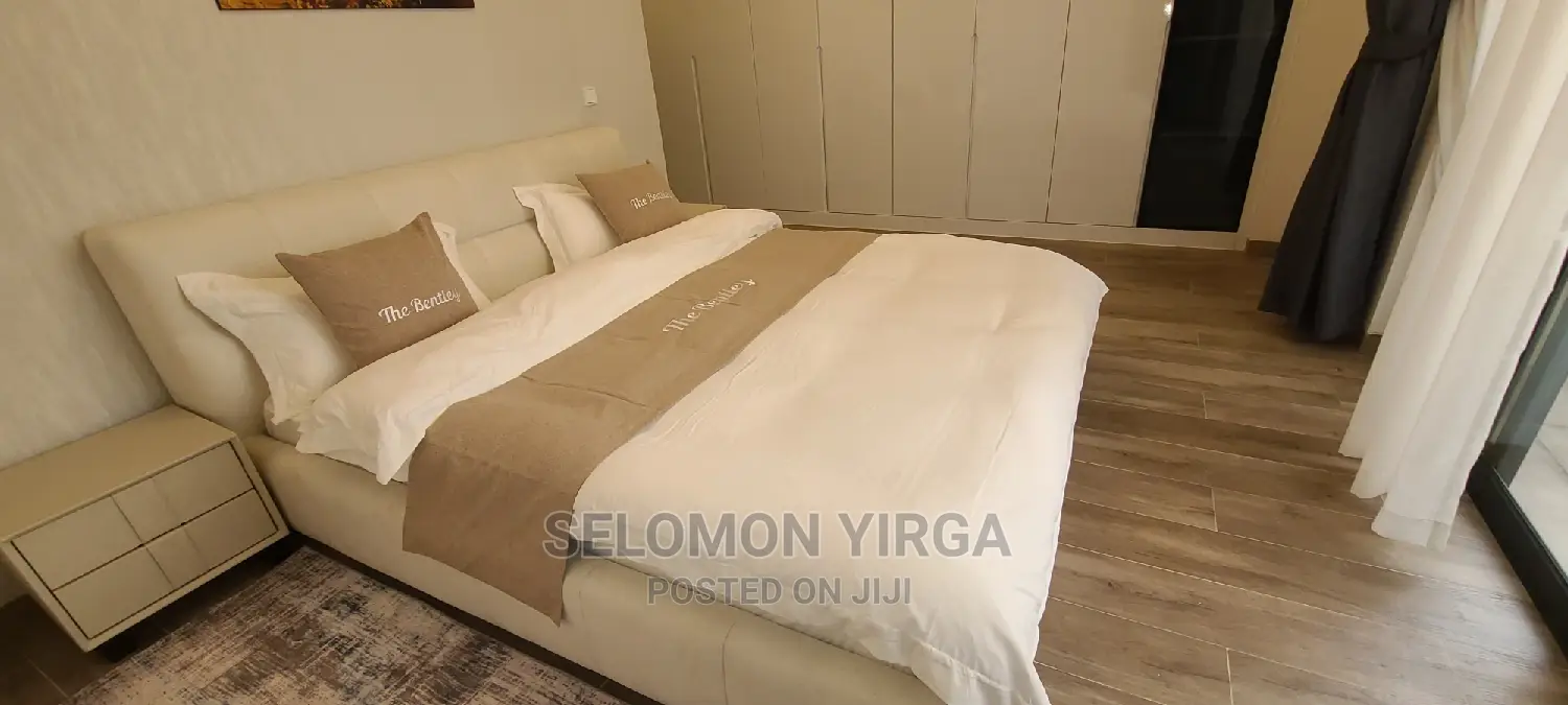 Furnished 3bdrm Apartment in Adids Ababa, Bole for rent