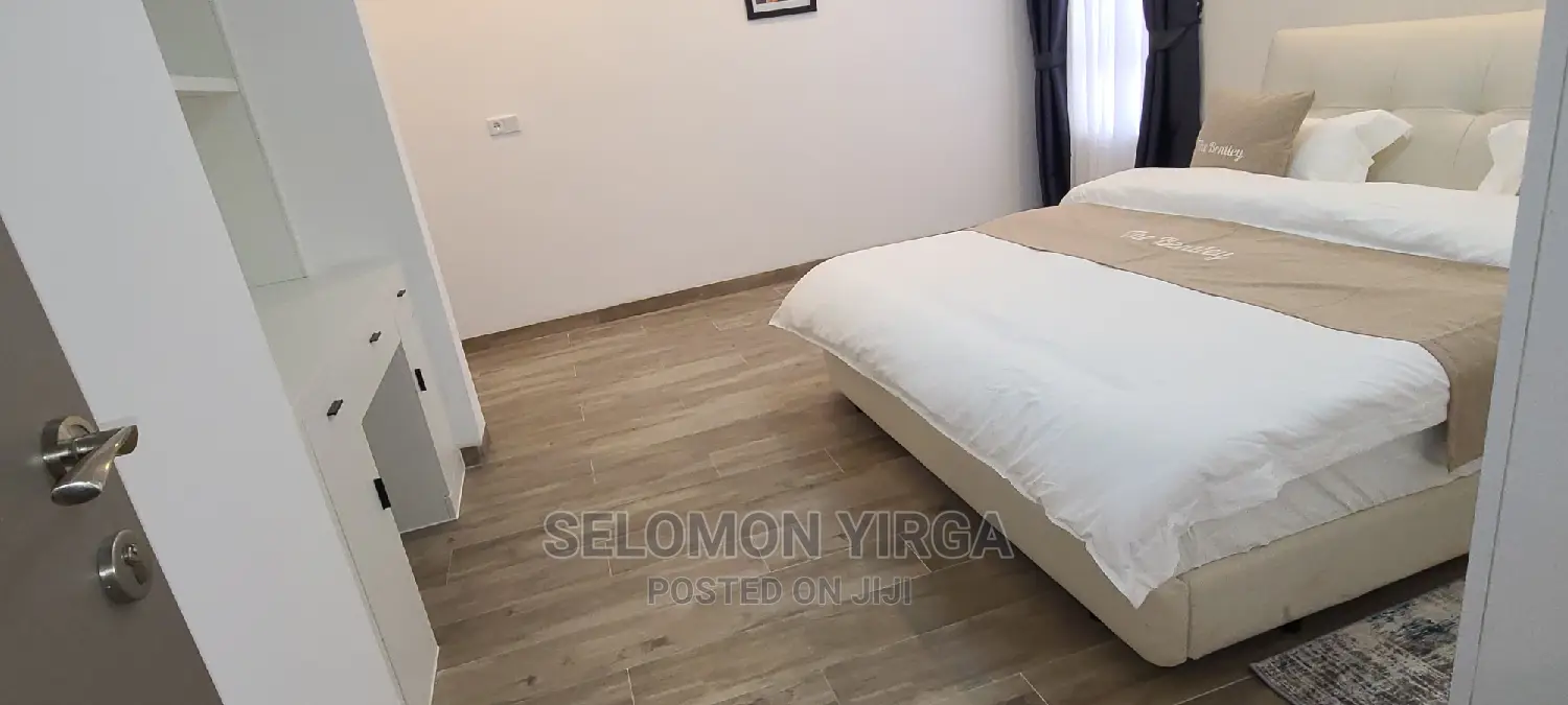 Furnished 3bdrm Apartment in Adids Ababa, Bole for rent