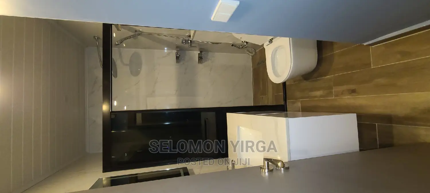 Furnished 2bdrm Apartment in Adids Ababa, Bole for rent