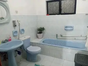 Furnished 1bdrm Apartment in Bole for rent