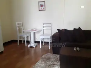 Furnished Studio Apartment in Bole for rent