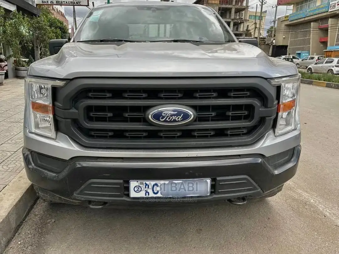 Ford F-150 2021 Silver
