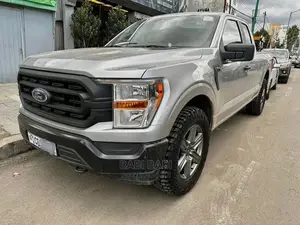 Ford F-150 2021 Silver