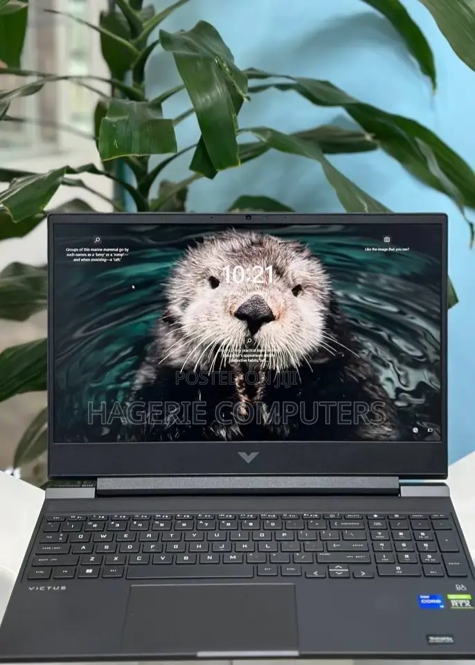 New Laptop HP Victus 16 8GB SSD 512GB