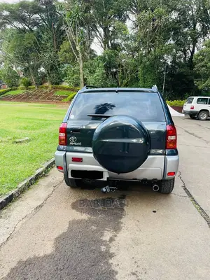 Photo - Toyota RAV4 2005 Gray