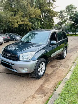 Toyota RAV4 2005 Gray