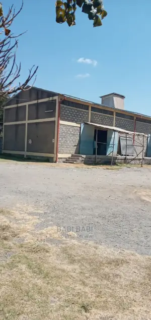 ለሽያጭ የወጣ 5000ካሬ 2-መጋዘን አስቸኳይ