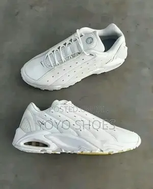 Nike Air Max