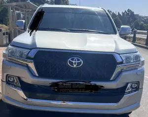 Toyota Land Cruiser 2010 Silver