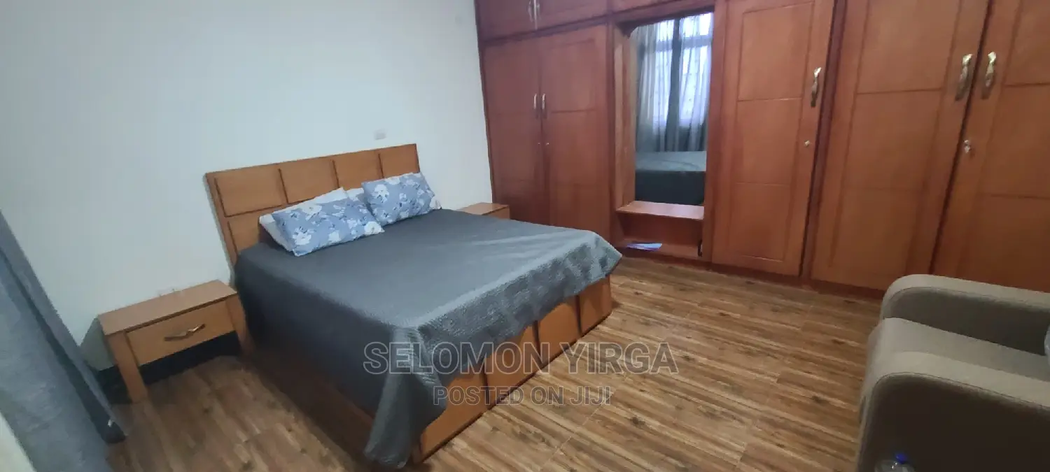 Furnished 1bdrm Apartment in Adids Abba, Yeka for rent