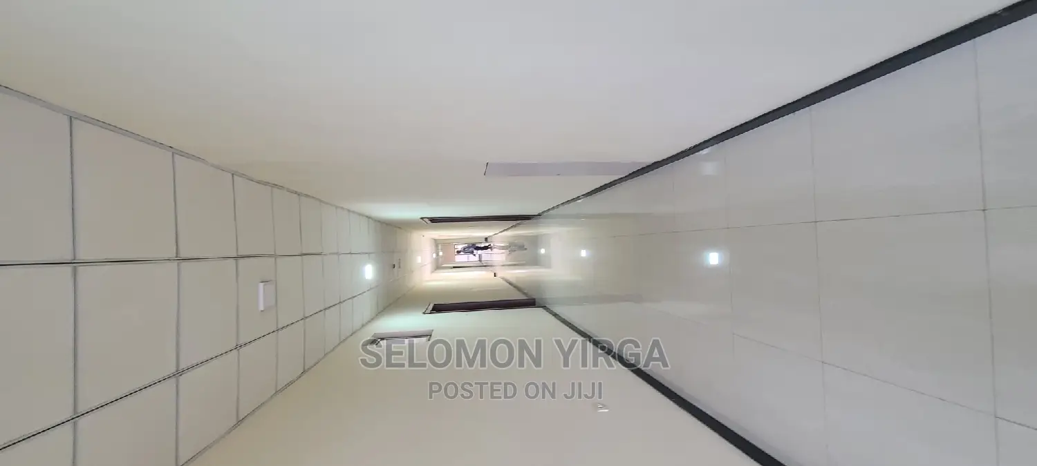 Furnished 2bdrm Apartment in Addis Ababa, Bole for rent