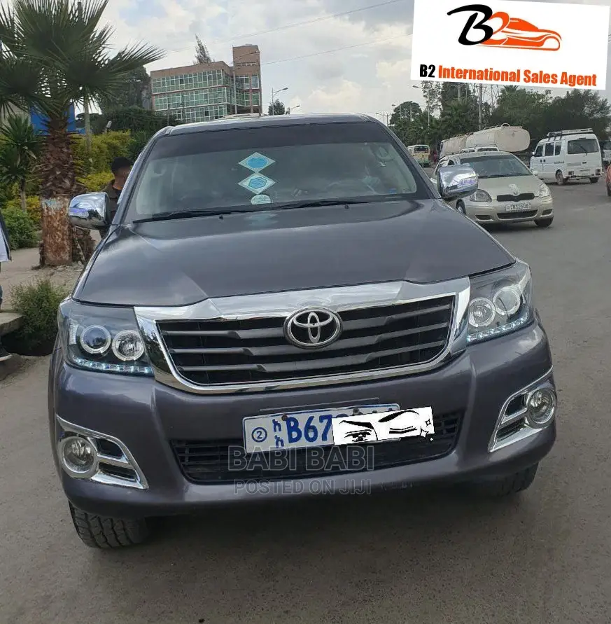 Toyota Hilux 2010 Gray