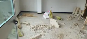 1bdrm Apartment in Adids Ababa, Yeka for rent