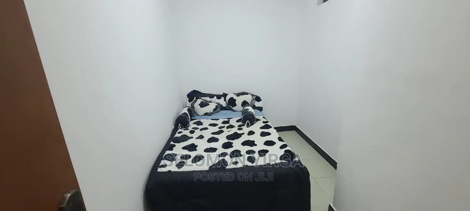 Furnished 2bdrm Apartment in አድስ አበባ, Bole for rent