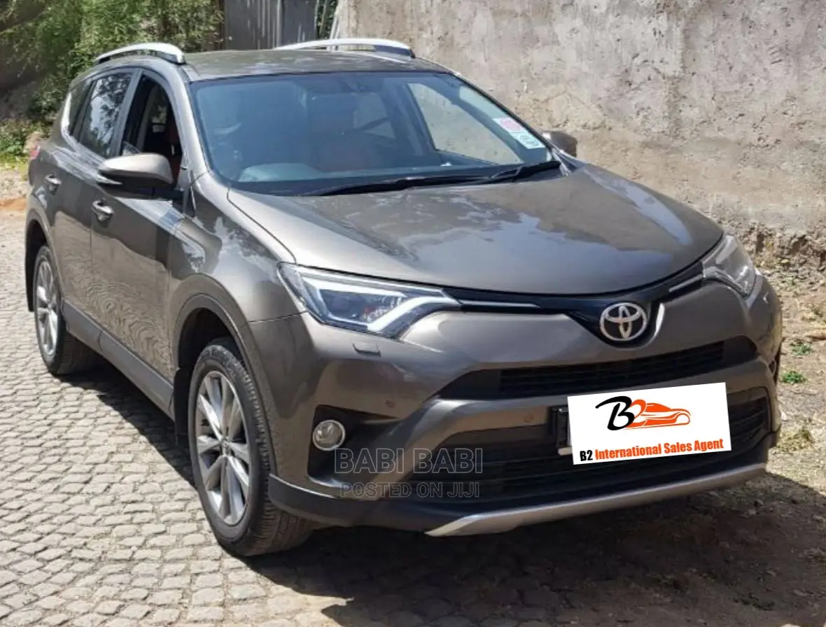 Toyota RAV4 2015 Gray