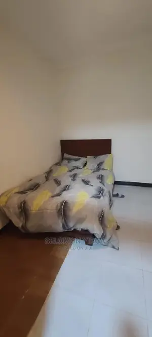 Furnished 2bdrm Apartment in አድስ አበባ, Bole for rent