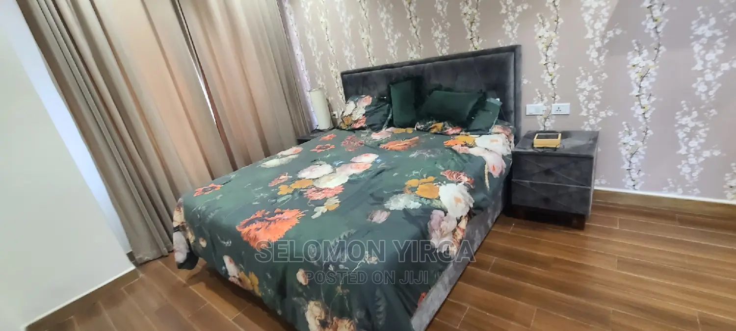 Furnished 2bdrm Apartment in Adidis Ababa, Kirkos for rent