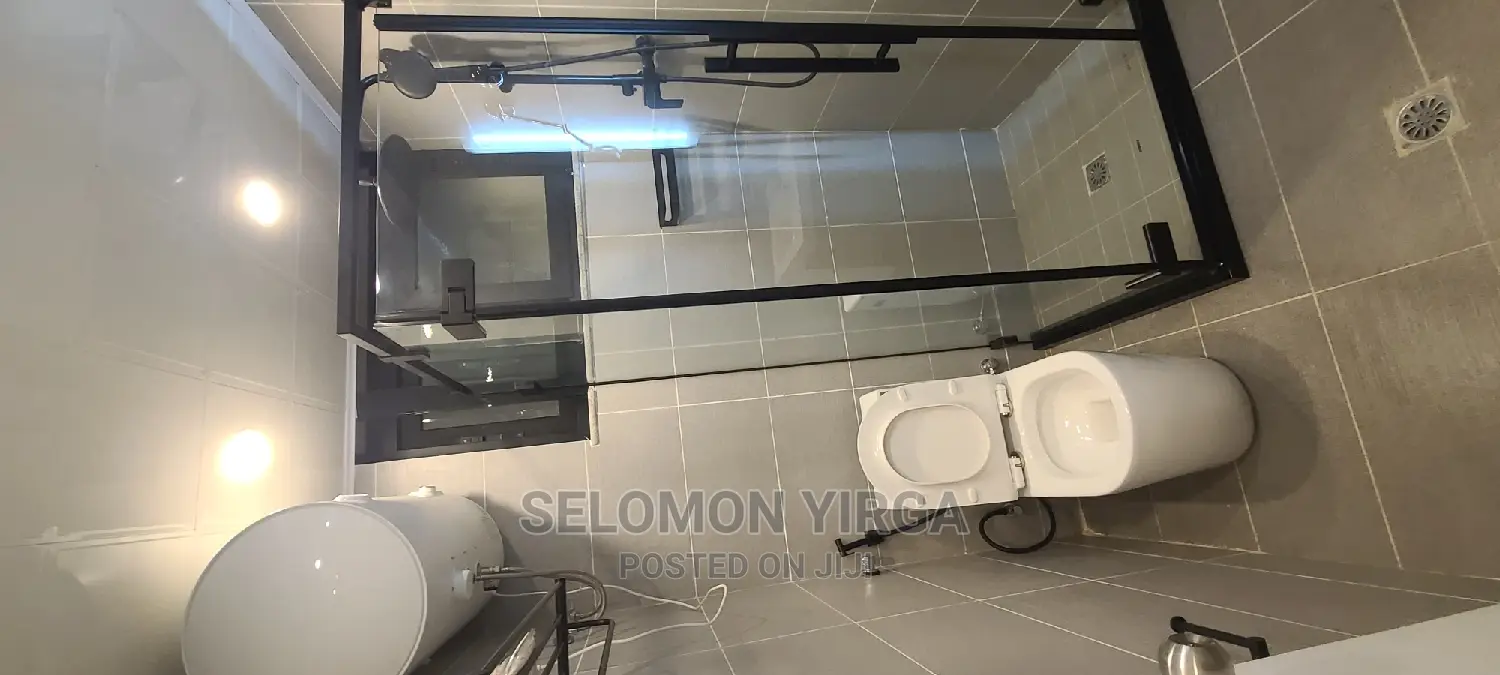 Furnished 1bdrm Apartment in አድስ አበባ, Bole for rent