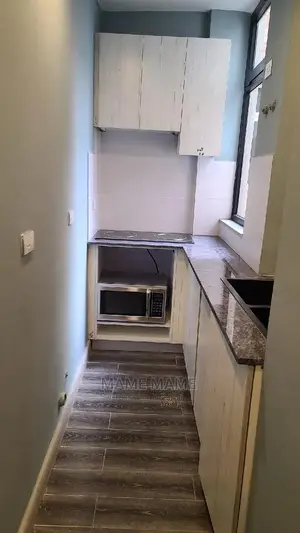 Furnished 1bdrm Apartment in Addis Abeba, Bole for rent