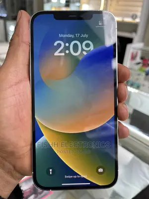 Apple iPhone 12 Pro Max 256 GB Silver