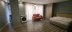 Furnished Studio Apartment in አድስ አበባ, Bole for rent