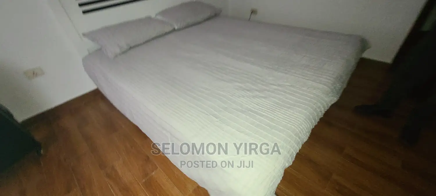 Furnished 2bdrm Apartment in አድስ አበባ, Yeka for rent