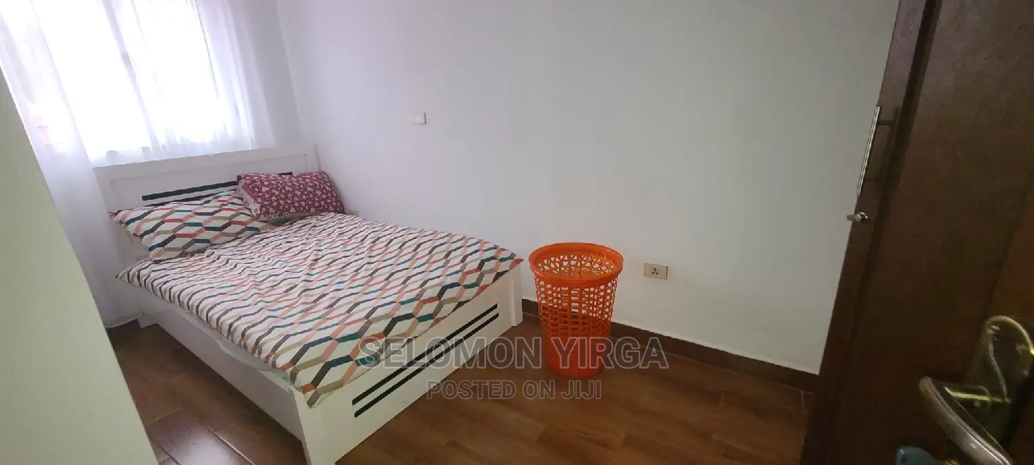 Furnished 2bdrm Apartment in አድስ አበባ, Yeka for rent