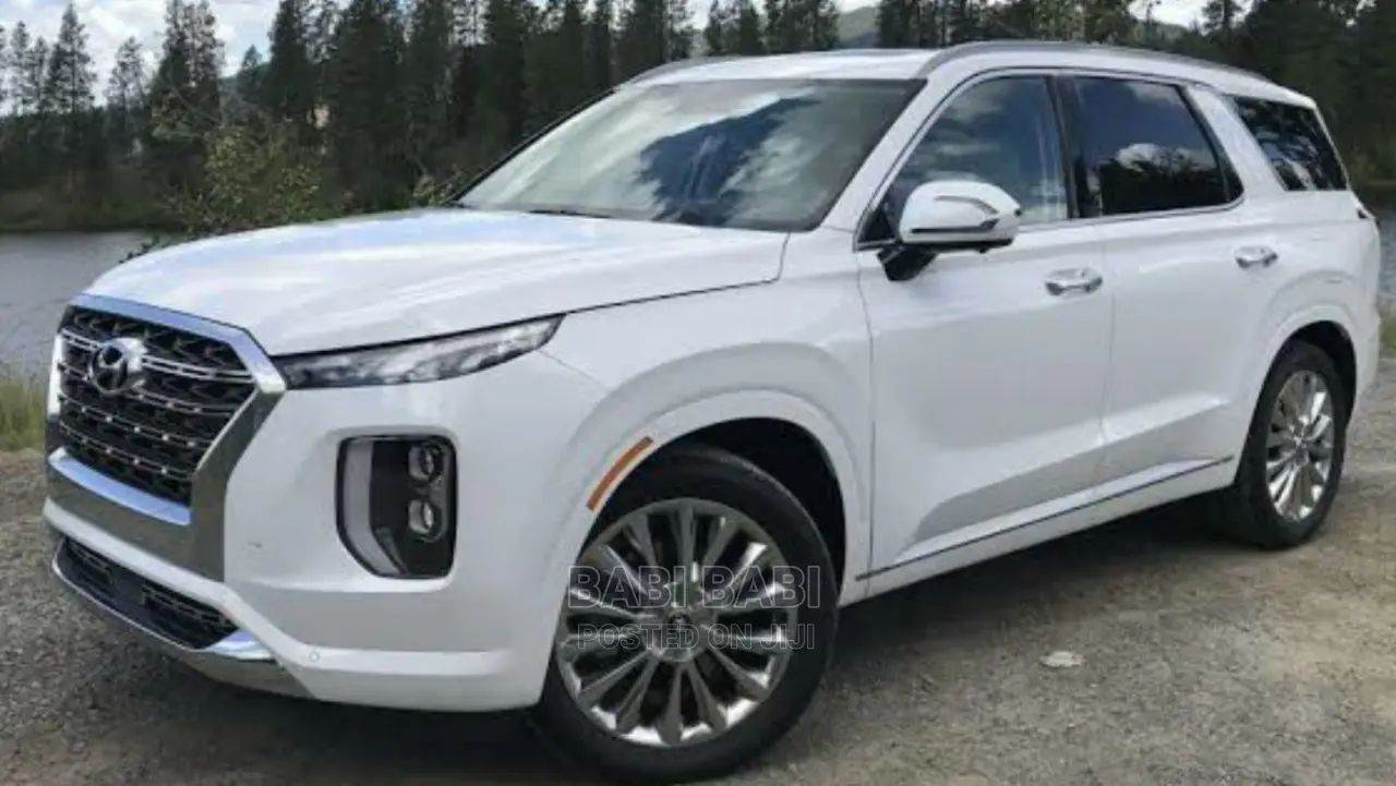 New Hyundai Palisade 2023 White