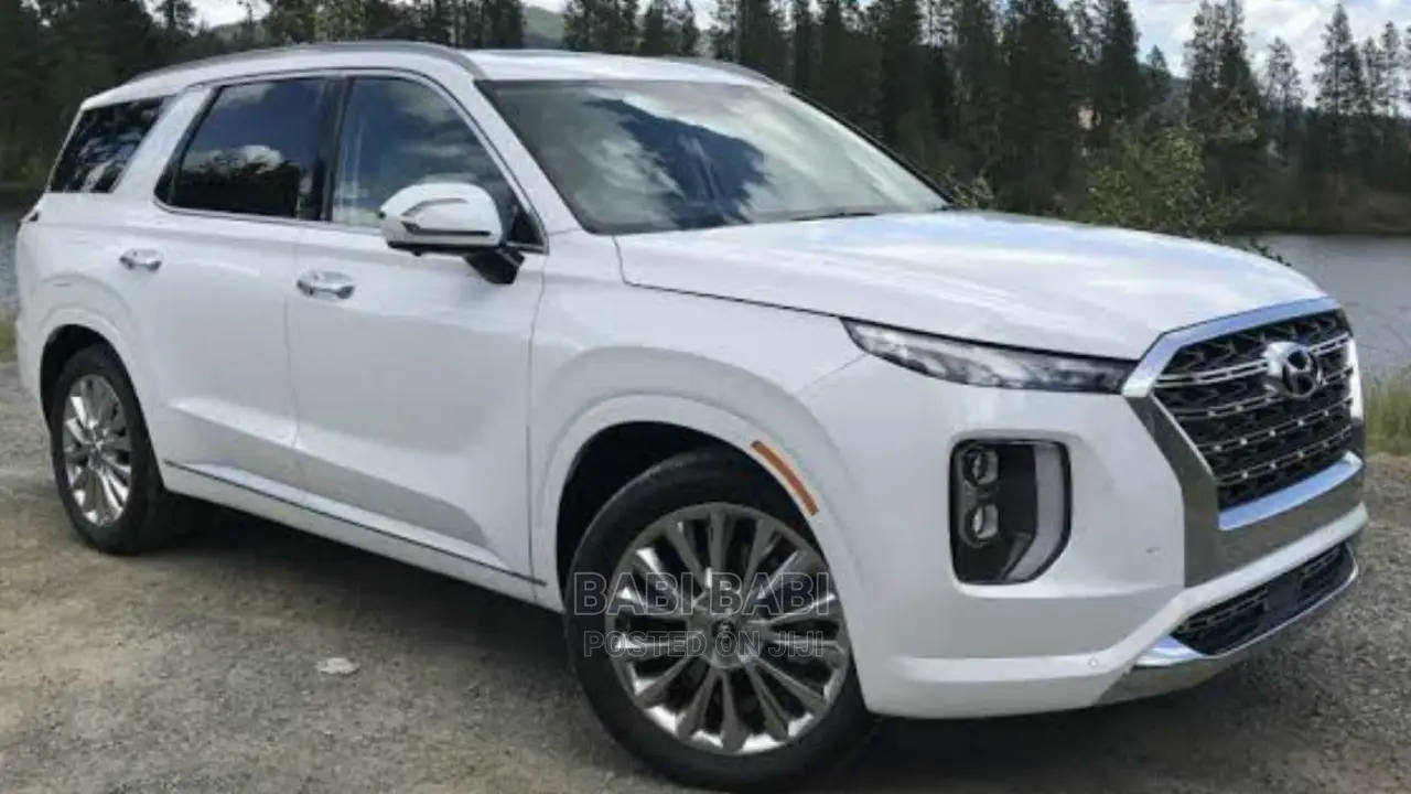 New Hyundai Palisade 2023 White