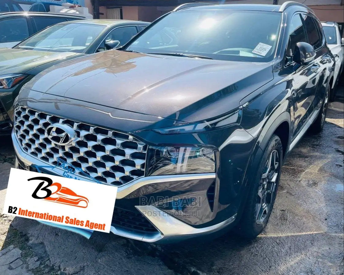 Hyundai Santa Fe 2022 Gray