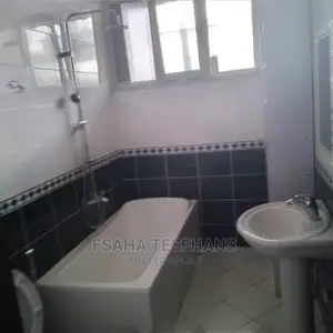 Photo - Furnished 2bdrm Apartment in Fsaha Sale, Yeka for rent