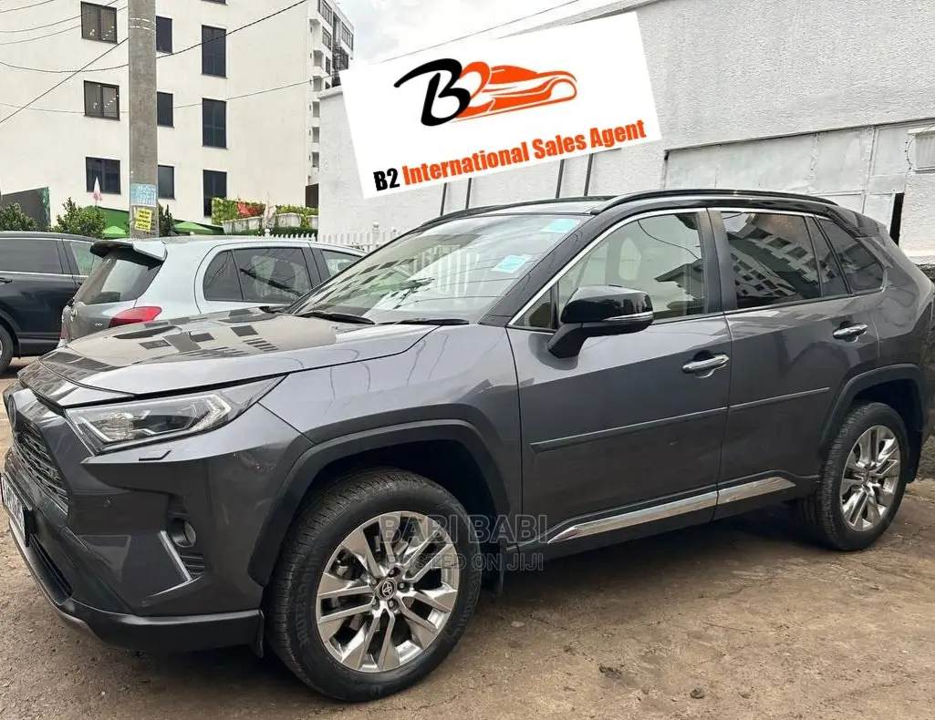 Toyota RAV4 2021 Gray