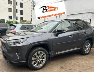 Toyota RAV4 2021 Gray