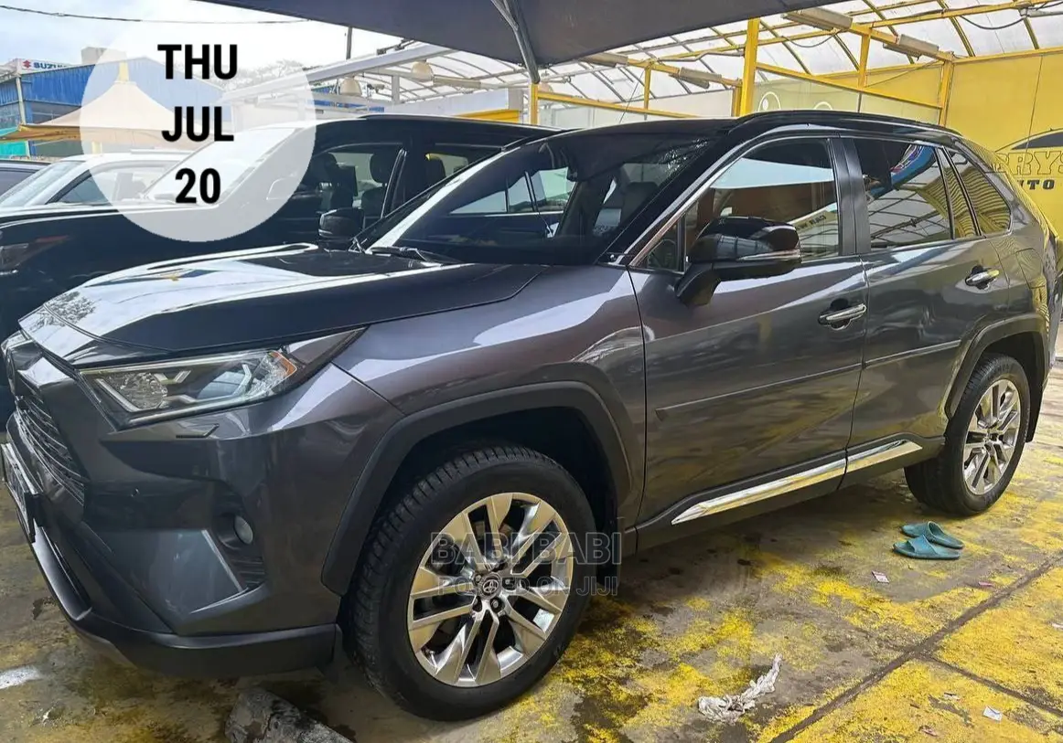 Toyota RAV4 2021 Gray