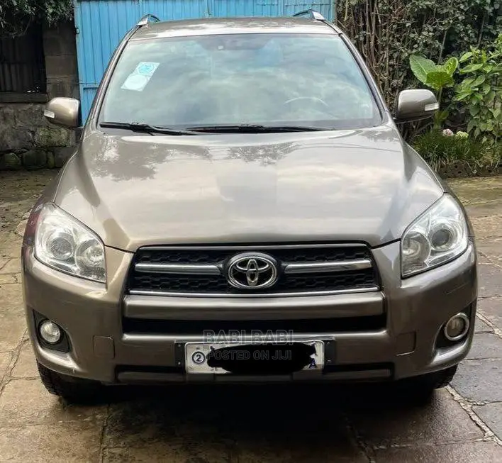 Toyota RAV4 2009 Gray