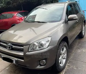 Toyota RAV4 2009 Gray