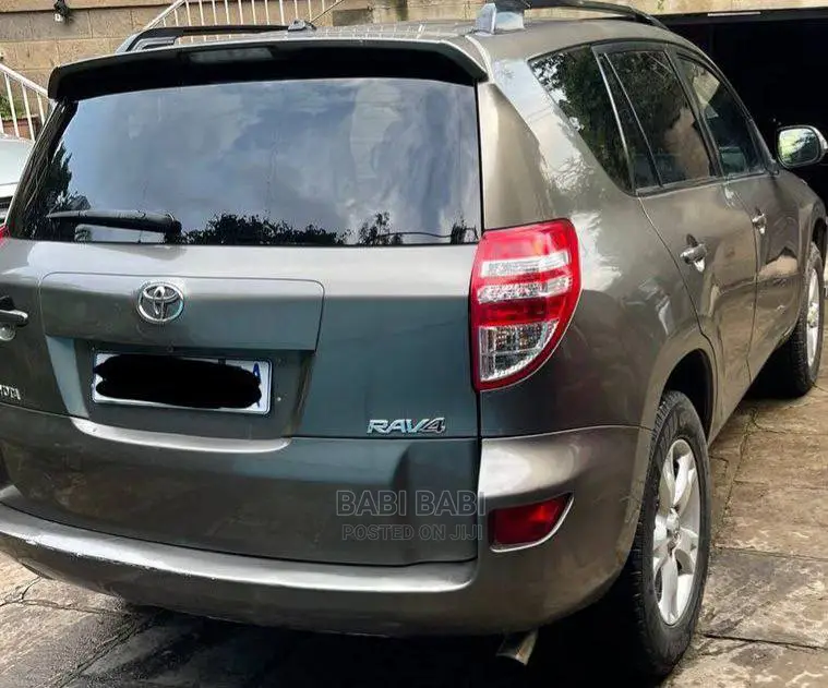 Toyota RAV4 2009 Gray