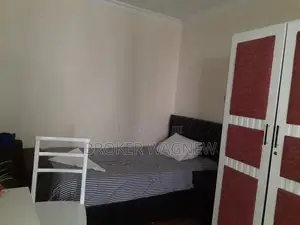 Photo - Furnished 1bdrm Apartment in Bole for rent