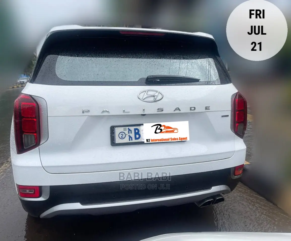 Hyundai Palisade 2021 White