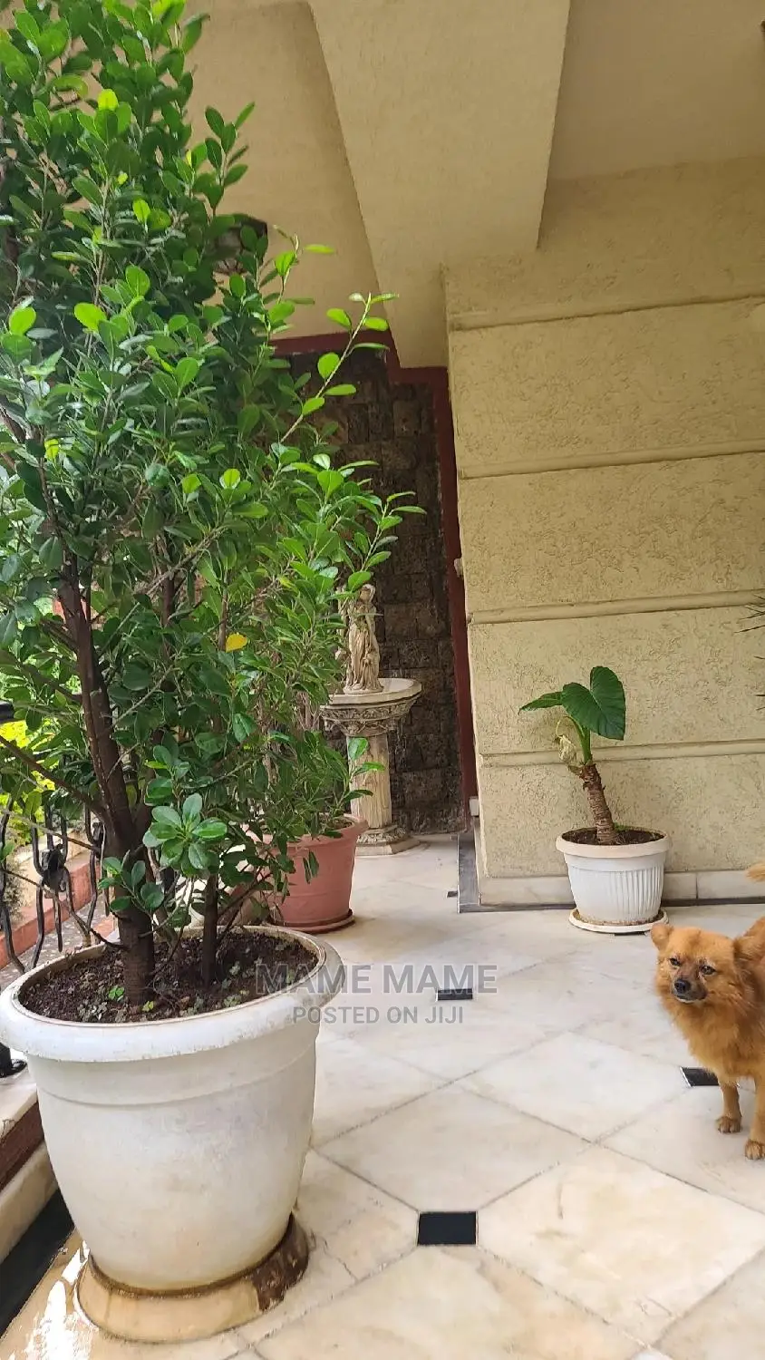 Furnished 9bdrm House in Addis Abeba, Bole for sale