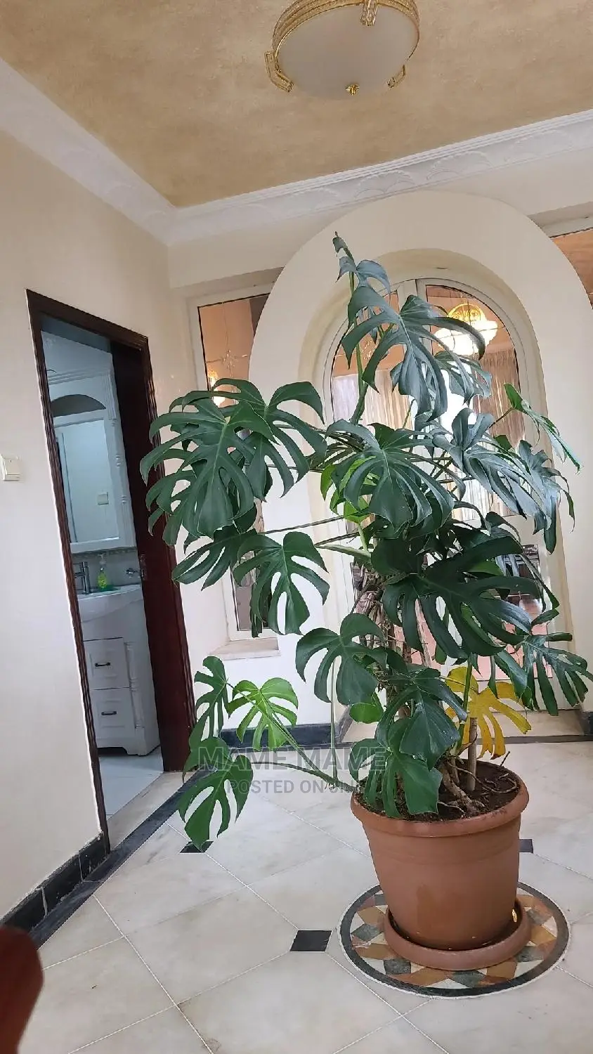 Furnished 9bdrm House in Addis Abeba, Bole for sale