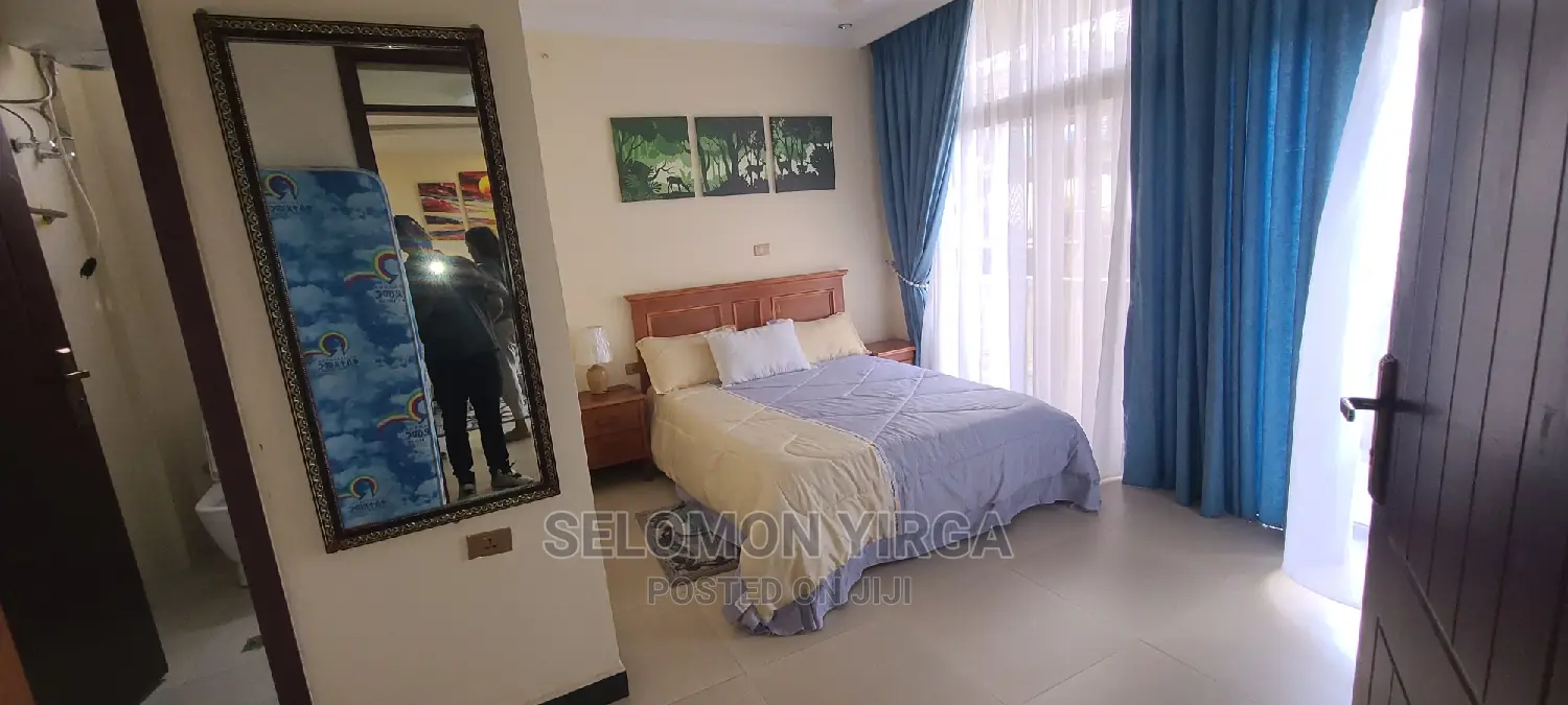 Furnished 1bdrm Apartment in አድስ አበባ, Yeka for rent
