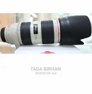 Photo - Camera Zebra Lense