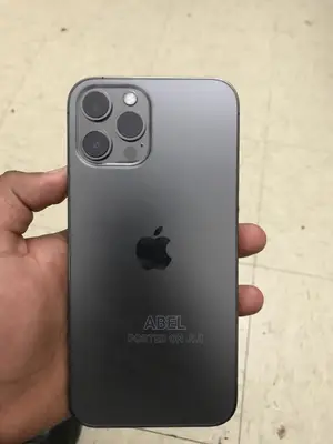 Apple iPhone 12 Pro Max 128 GB Gray