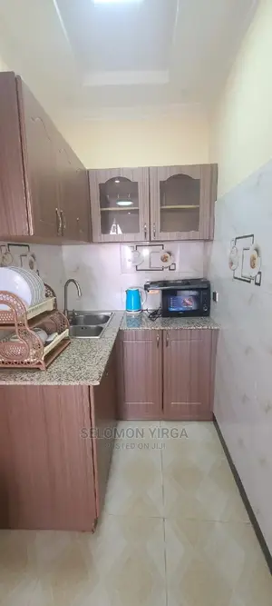 Furnished 1bdrm Apartment in አድስ አበባ, Yeka for rent