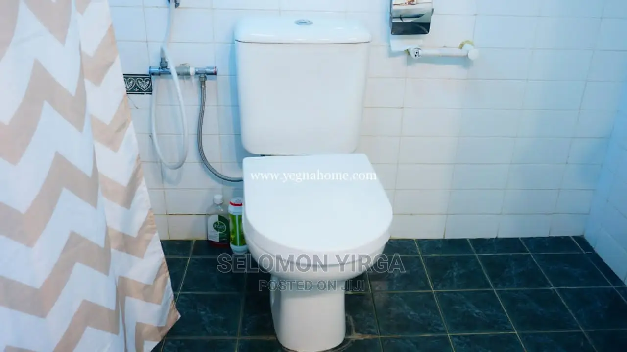 Furnished 3bdrm Villa in አድስ አበባ, Bole for rent