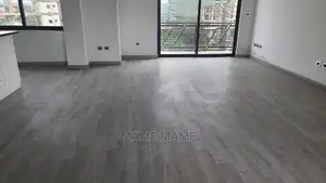 3bdrm Penthouse in Addis Abeba, Bole for rent
