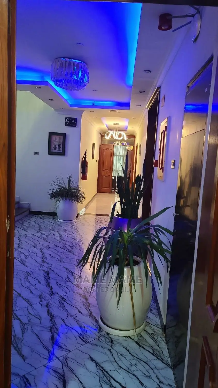 Furnished 2bdrm Apartment in Addis Abeba, Bole for rent